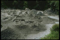 036130 Whakarewarewa Thermal Area A4 Photo Print