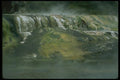 036133 Warbrick Terrace, Waimangu Valley A4 Photo Print