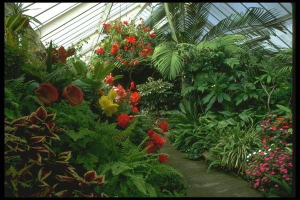 036140 Wellington Botanical Gardens A4 Photo Print