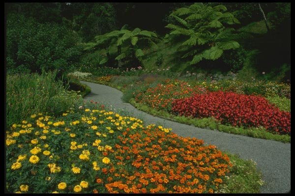 036141 Wellington Botanical Gardens A4 Photo Print