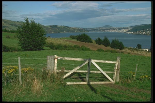 036146 South Island Vista A4 Photo Print