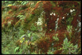 036150 Wilmot Pass A4 Photo Print
