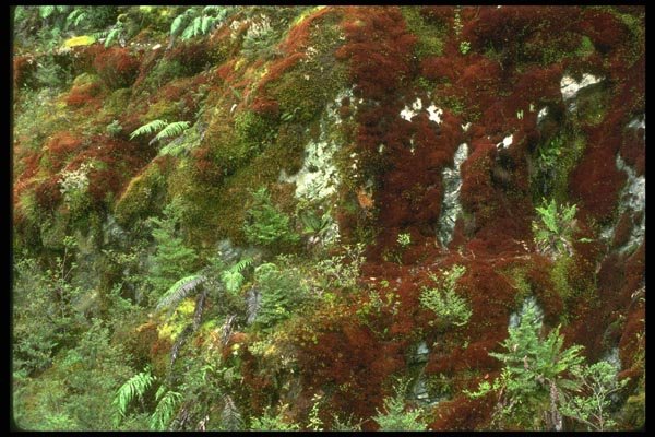 036150 Wilmot Pass A4 Photo Print