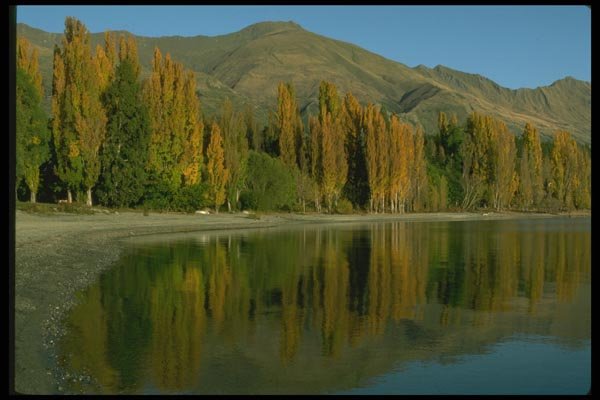 036165 Lake Wanaka A4 Photo Print