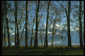 036166 Lake Wanaka A4 Photo Print