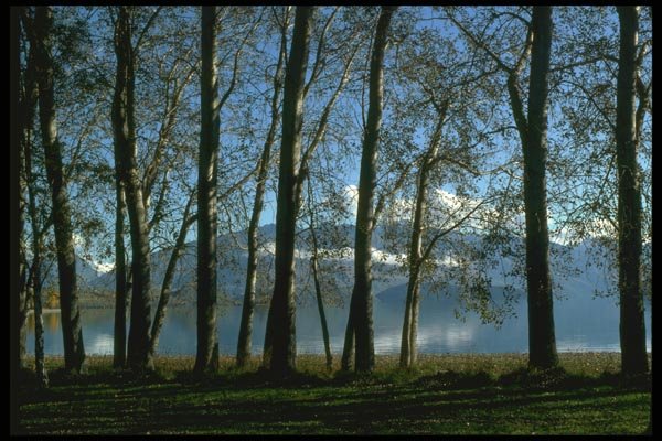 036166 Lake Wanaka A4 Photo Print