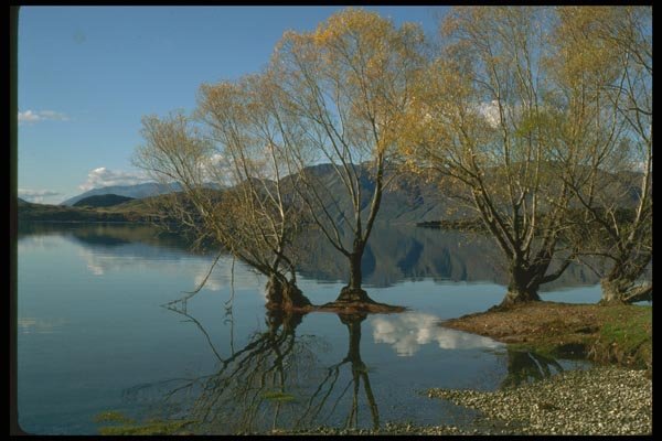 036174 Lake Wanaka A4 Photo Print