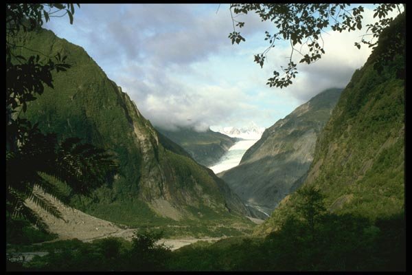 036184 Fox Glacier A4 Photo Print
