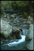 036187 Caution Creek, Fox Glacier A4 Photo Print
