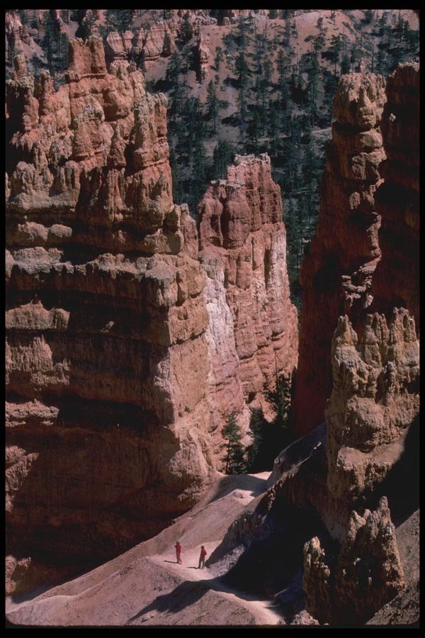 038007 Weather Carved Pinnacle Bryce National Park A4 Photo Print