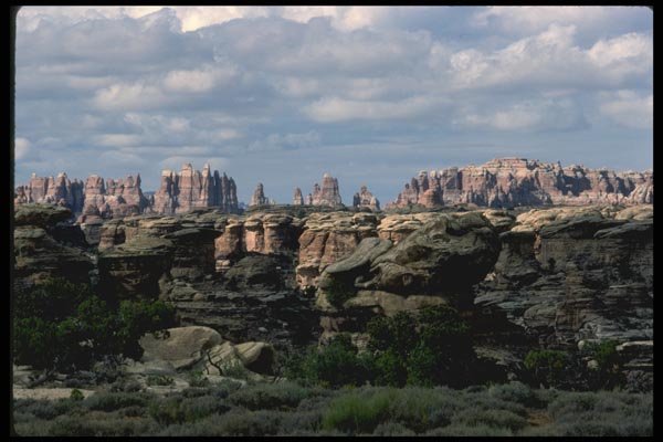038017 The Needles Canyonlands National Park A4 Photo Print