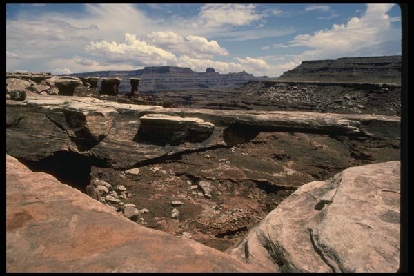038029 Musselman Arch Canyonlands National Park A4 Photo Print