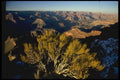 038035 Grand Canyon Moran Point A4 Photo Print