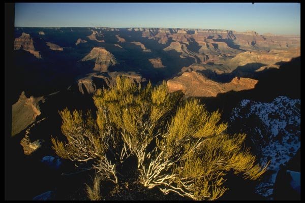 038035 Grand Canyon Moran Point A4 Photo Print