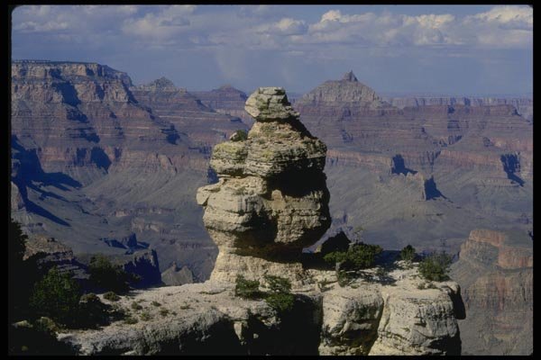 038039 Duck On The Rock Grand Canyon National Park A4 Photo Print