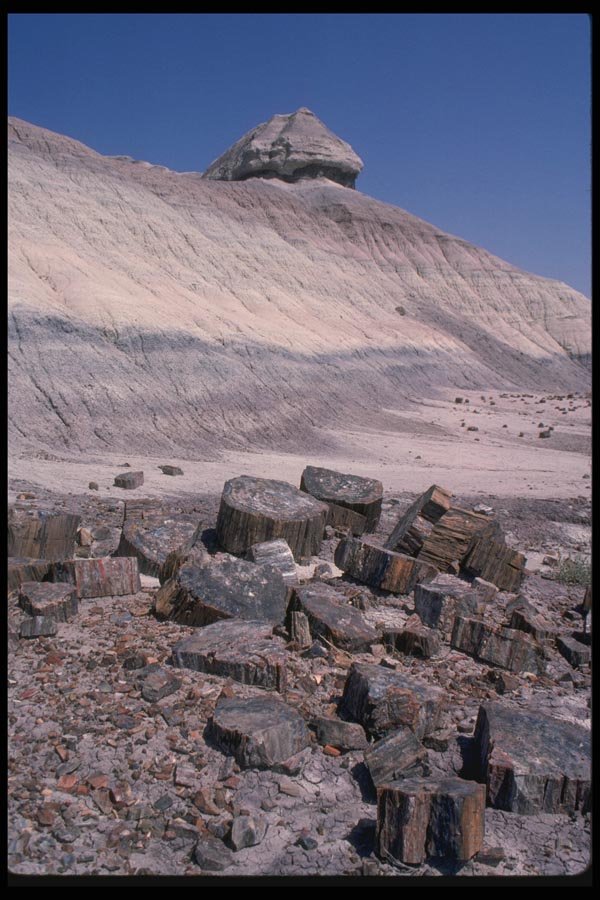 038051 Petrified Forest Desert National Park A4 Photo Print