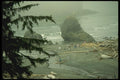 038054 Coastal Area Olympia National Park A4 Photo Print