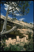 038056 Cliff Palace Mesa Verde National Park A4 Photo Print