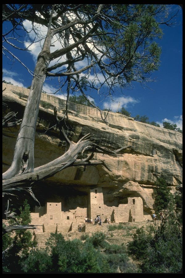038056 Cliff Palace Mesa Verde National Park A4 Photo Print
