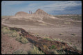 038057 Petrified Forest Desert National Park A4 Photo Print