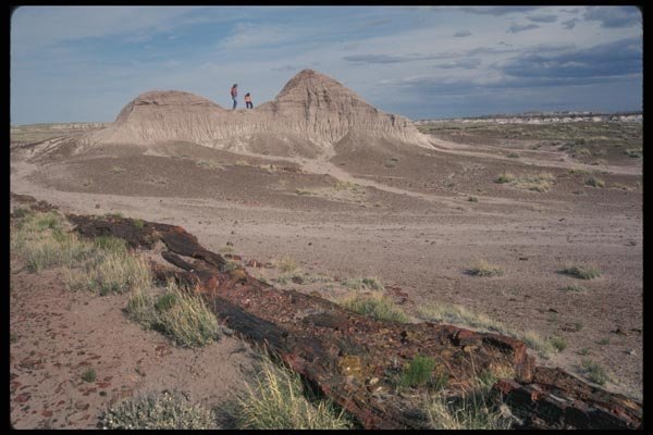 038057 Petrified Forest Desert National Park A4 Photo Print