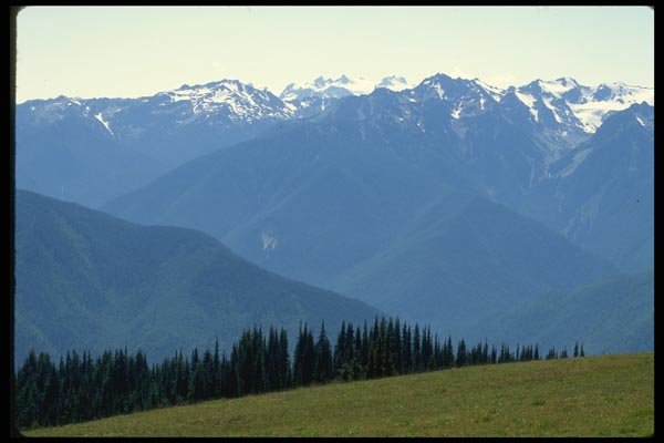 038063 Magnificent Mountains In Olympia National Park A4 Photo Print