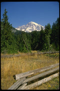 038065 Mt. Rainier National Park A4 Photo Print