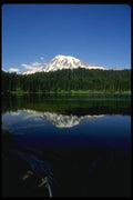 038069 Mt. Rainier National Park A4 Photo Print