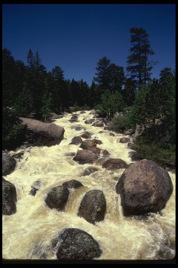 038070 Thompson River Rocky Mountain National Park A4 Photo Print
