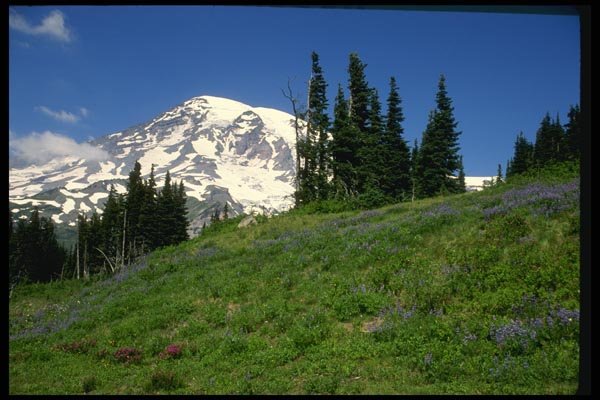 038071 Mt. Rainier National Park A4 Photo Print