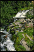038075 Cascade Mt. Rainier National Park A4 Photo Print