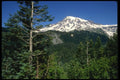 038078 Mt. Rainier National Park A4 Photo Print