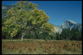 038094 Half dome Yosemite National Park A4 Photo Print