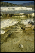 038096 Mammoth Hot Springs Yellowstone National Park A4 Photo Print