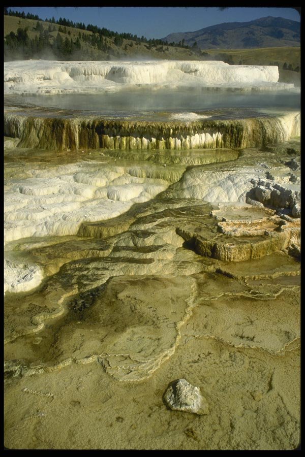 038096 Mammoth Hot Springs Yellowstone National Park A4 Photo Print