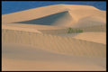 039000 Dunes A4 Photo Print