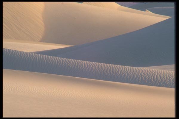 039007 Shadows On The Dunes A4 Photo Print