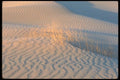 039013 Little Dunes A4 Photo Print
