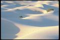 039014 Shadow Of The Dunes A4 Photo Print
