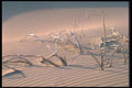 039015 Dead Branches, Dunes A4 Photo Print