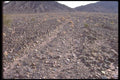039037 Old Wagon Trail A4 Photo Print