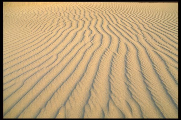 039039 Rippled Sand A4 Photo Print