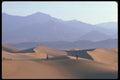 039040 People On The Big Dunes A4 Photo Print
