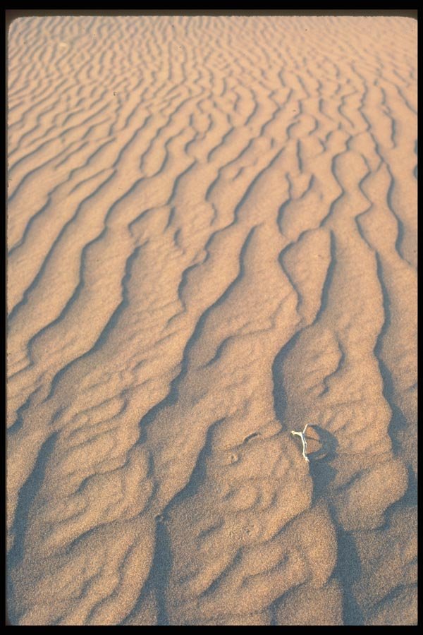 039048 Rippled Sand A4 Photo Print