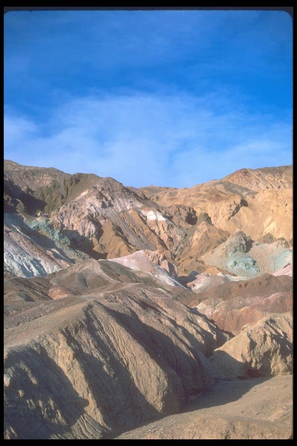 039049 Artist's Palette A4 Photo Print