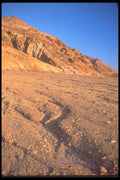 039051 Artist's Drive A4 Photo Print