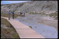 039056 Walkway, Salt Creek Trail A4 Photo Print