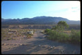 039067 Mesquite Spring Campground A4 Photo Print