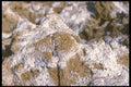 039075 Close Up , Salt Flats A4 Photo Print