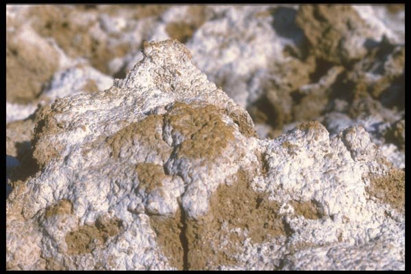 039075 Close Up , Salt Flats A4 Photo Print
